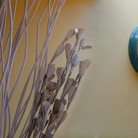 Hotel Halkova 4*